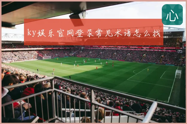 ky娱乐官网登录常见术语怎么找